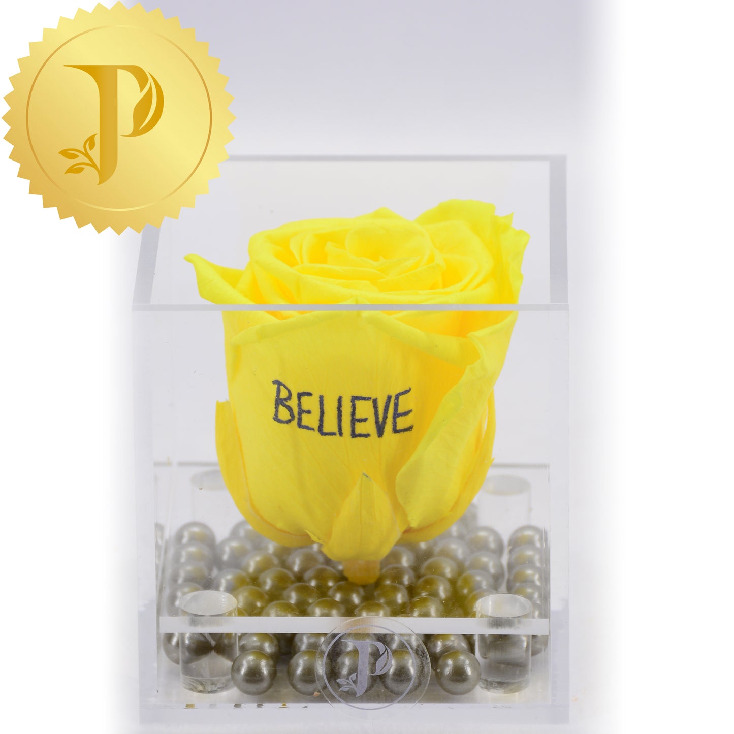 BELIEVE! - Mini